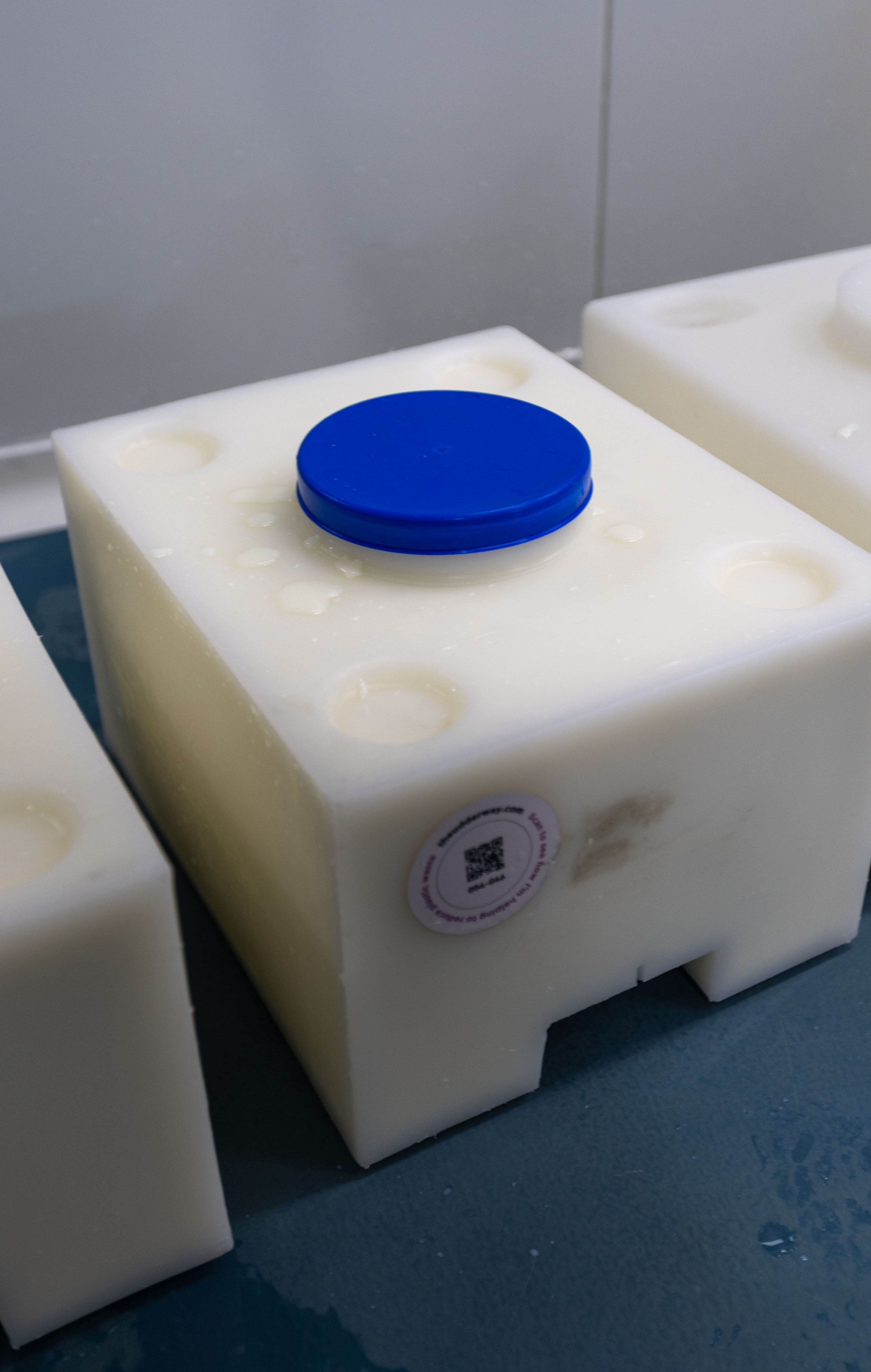 Tilba dairy